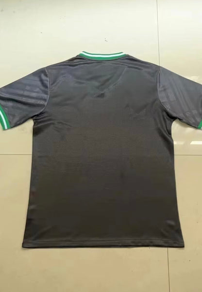 Feyenoord 24/25 Uitshirt