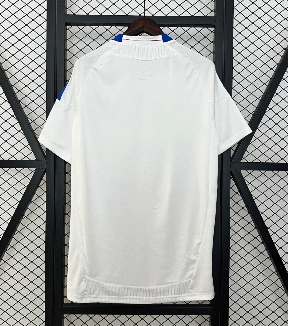 Lyon 10/11 Thuisshirt