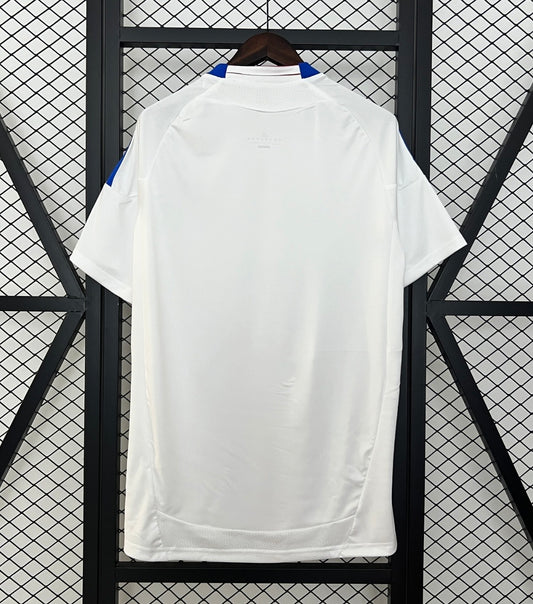 Lyon 10/11 Thuisshirt